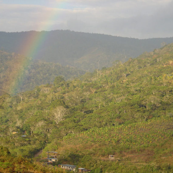 El Palomar, vue d'ensemble au nord du village