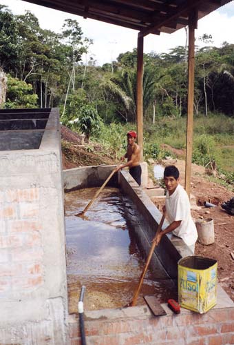 Crisanto et Carlos au lavage des grains de café