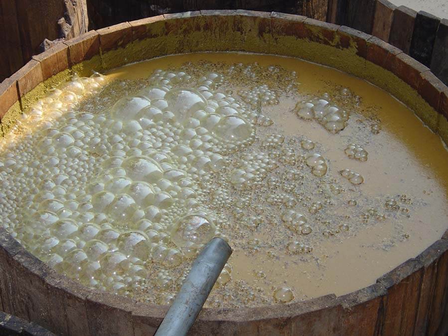 Le jus de canne en train de fermenter