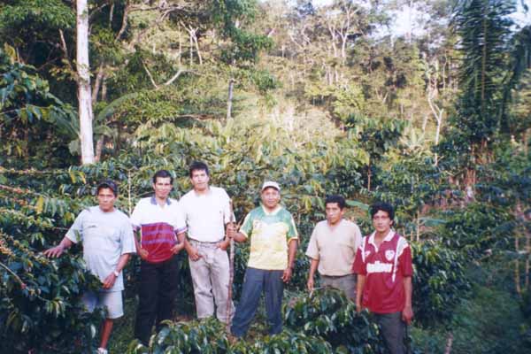 Producteurs de Sanchirio dans leur champ