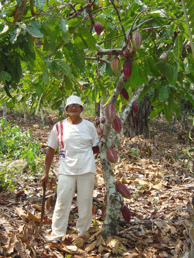 Un des producteurs dans sa parcelle